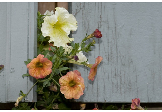 080615-vakantie-0510-JP