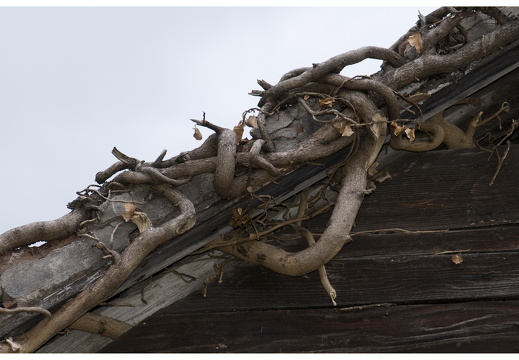 080615-vakantie-0530-JP