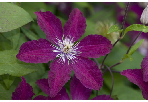 080615-vakantie-0560-JP