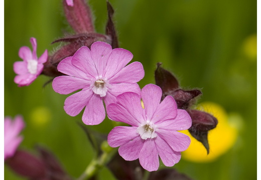 080616-vakantie-0080-JP