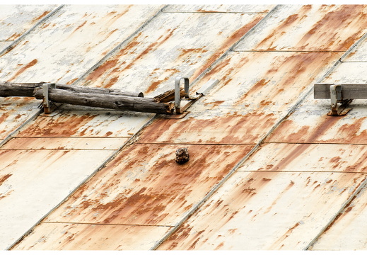 080616-vakantie-0100-JP