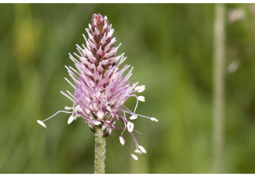 080616-vakantie-0110-JP