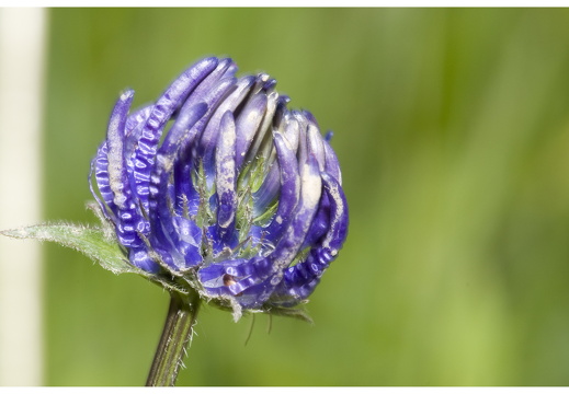 080616-vakantie-0120-JP