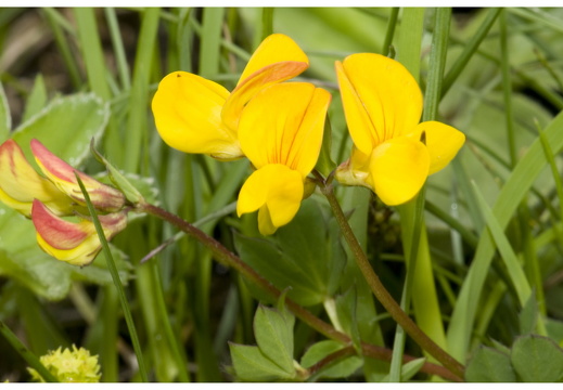 080616-vakantie-0130-JP