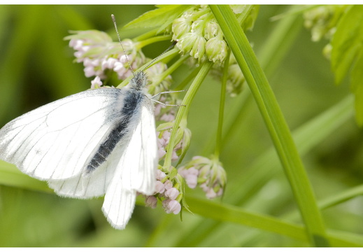 080617-vakantie-0120-JP