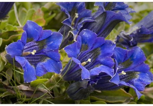 080618-vakantie-0060-JP