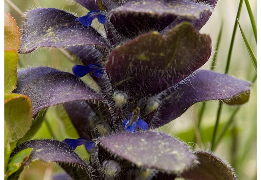 080618-vakantie-0070-JP