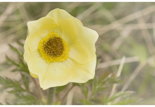 080618-vakantie-0090-JP