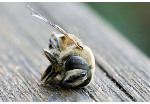 080618-vakantie-0180-JP