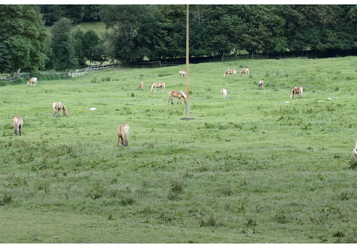 080618-vakantie-0190-JP