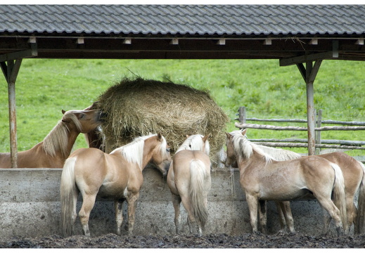 080618-vakantie-0200-JP