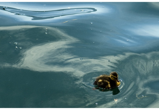 080619-vakantie-0120-M