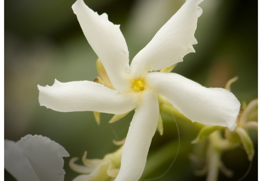 080619-vakantie-0243-M