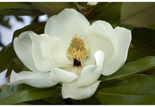 080619-vakantie-0280-JP