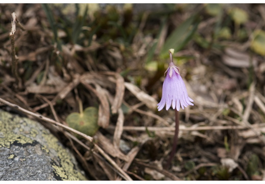 080621-vakantie-0250-JP