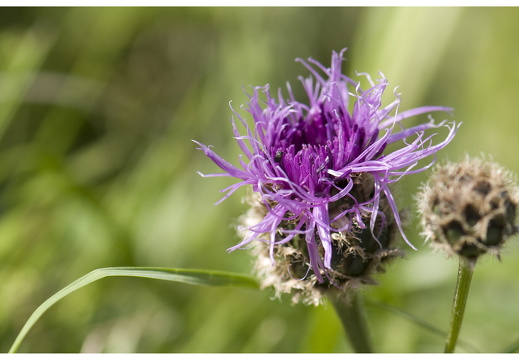 080621-vakantie-0370-JP