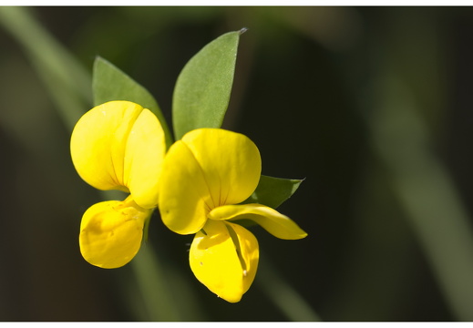 080621-vakantie-0380-JP