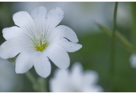 080621-vakantie-0420-JP