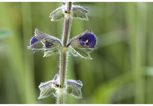 080621-vakantie-0450-JP