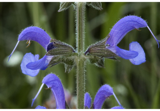 080621-vakantie-0460-JP