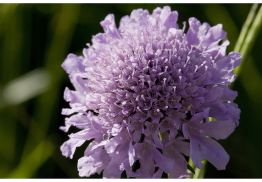 080621-vakantie-0470-JP