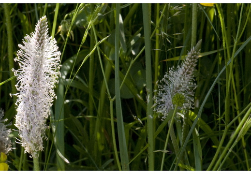 080621-vakantie-0480-JP