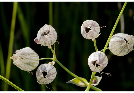 080621-vakantie-0510-JP