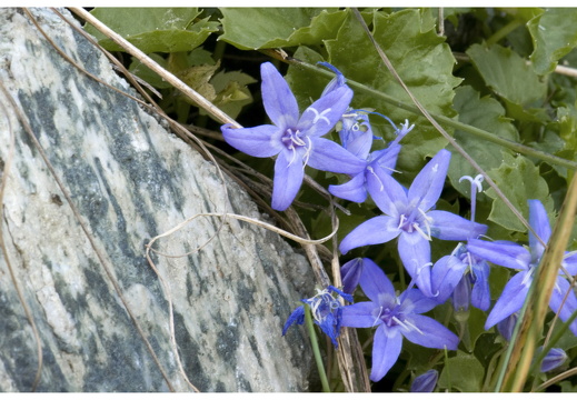 080621-vakantie-0520-JP