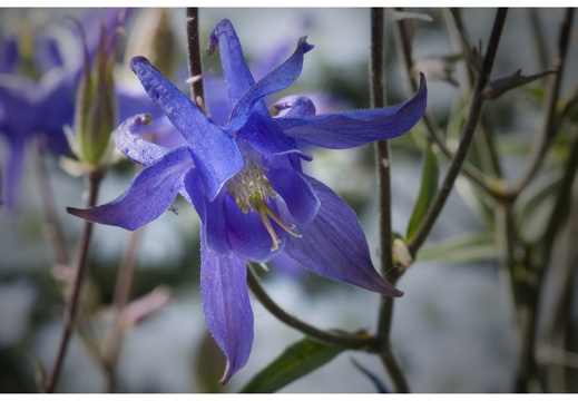 080621-vakantie-0530-JP