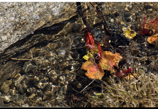 080622-vakantie-0050-