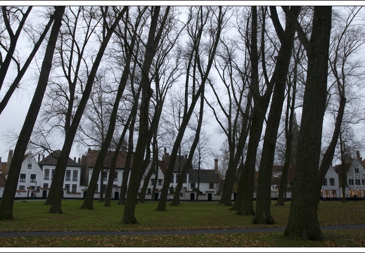 081115-Brugge-30