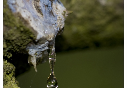 090428-ArboretumVonGimborn-36