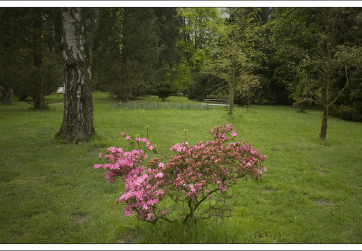 090428-ArboretumVonGimborn-65