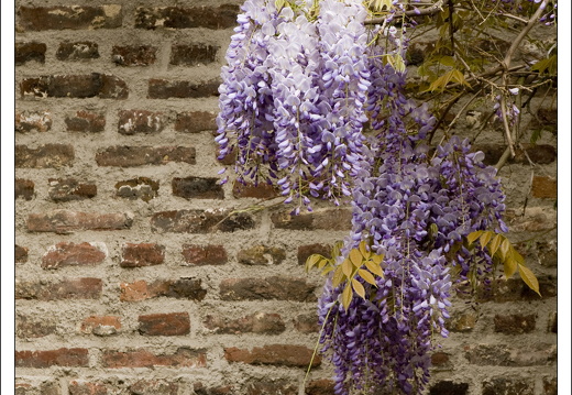 090429-Maastricht-005