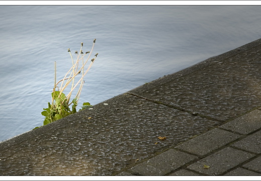 090429-Maastricht-078