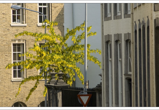 090429-Maastricht-124