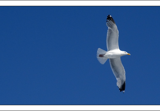 090613-Scotland-007