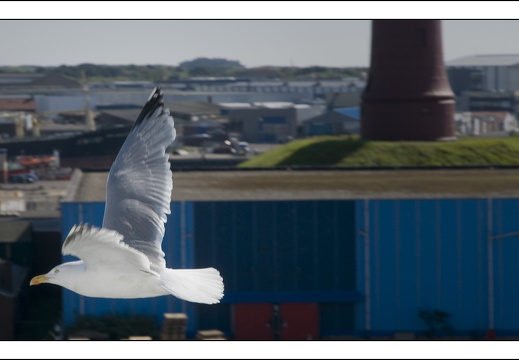 090613-Scotland-010