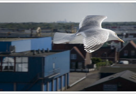 090613-Scotland-013