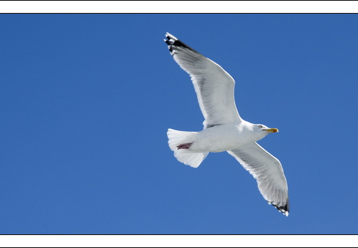 090613-Scotland-022