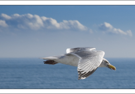090613-Scotland-023