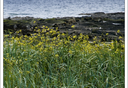 090613-Scotland-035