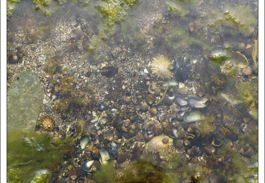 090613-Scotland-037