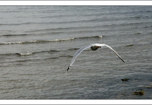 090613-Scotland-055