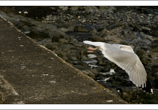090613-Scotland-056
