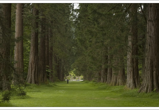 090613-Scotland-108