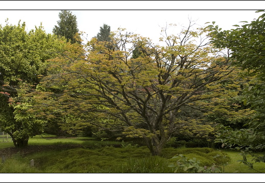 090613-Scotland-112