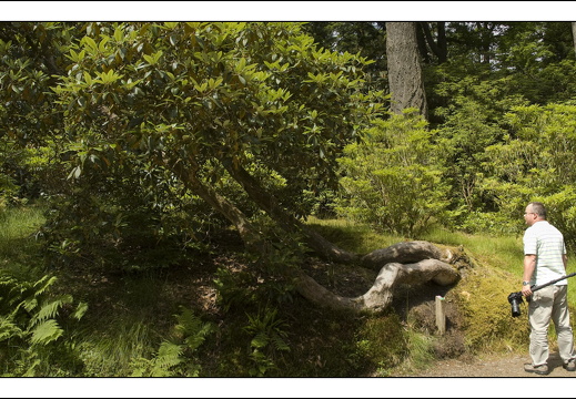 090613-Scotland-115
