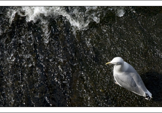 090613-Scotland-152
