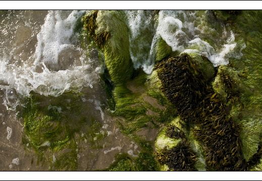 090613-Scotland-203
